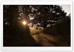 Morning, Autumn Sunshine, Road Ultra HD Wallpaper for 4K UHD Widescreen desktop, tablet & smartphone