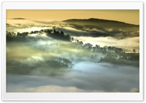 Morning Fog, Forest, Vietnam Ultra HD Wallpaper for 4K UHD Widescreen desktop, tablet & smartphone