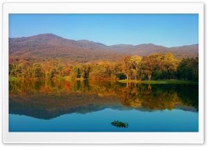 Morning Lake Ultra HD Wallpaper for 4K UHD Widescreen desktop, tablet & smartphone