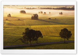 Morning Mist Meadow Ultra HD Wallpaper for 4K UHD Widescreen desktop, tablet & smartphone
