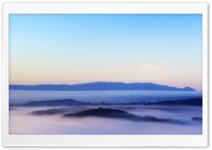Morning Mist over Flanders Moss Ultra HD Wallpaper for 4K UHD Widescreen desktop, tablet & smartphone