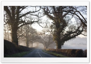 Morning, Road, Fall Ultra HD Wallpaper for 4K UHD Widescreen desktop, tablet & smartphone