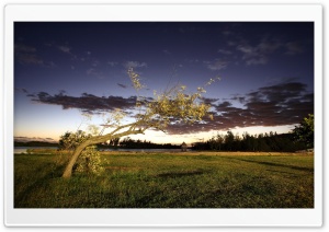 Morning Stars Ultra HD Wallpaper for 4K UHD Widescreen desktop, tablet & smartphone