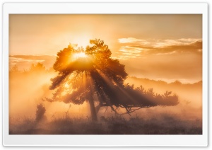 Morning Sun Ultra HD Wallpaper for 4K UHD Widescreen desktop, tablet & smartphone
