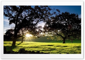 Morning Sunshine Ultra HD Wallpaper for 4K UHD Widescreen desktop, tablet & smartphone