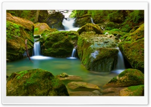 Moss Ultra HD Wallpaper for 4K UHD Widescreen desktop, tablet & smartphone