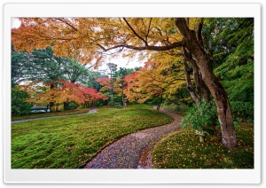 Moss Garden Ultra HD Wallpaper for 4K UHD Widescreen desktop, tablet & smartphone
