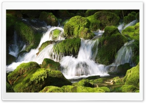 Moss Waterfall Ultra HD Wallpaper for 4K UHD Widescreen desktop, tablet & smartphone