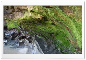 Mossy rock wall Ultra HD Wallpaper for 4K UHD Widescreen desktop, tablet & smartphone