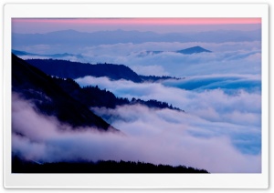 Mount Rainier National Park, Washington Ultra HD Wallpaper for 4K UHD Widescreen desktop, tablet & smartphone