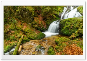 Mountain Creek Forest Nature Ultra HD Wallpaper for 4K UHD Widescreen desktop, tablet & smartphone