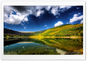 Mountain Daisies Ultra HD Wallpaper for 4K UHD Widescreen desktop, tablet & smartphone