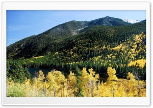 Mountain Forest 2 Ultra HD Wallpaper for 4K UHD Widescreen desktop, tablet & smartphone