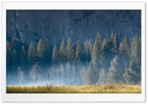 Mountain Forest Ultra HD Wallpaper for 4K UHD Widescreen desktop, tablet & smartphone