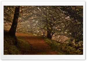 Mountain Forest Path Ultra HD Wallpaper for 4K UHD Widescreen desktop, tablet & smartphone