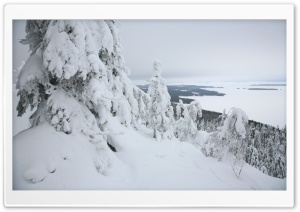 Mountain Forest, Winter Ultra HD Wallpaper for 4K UHD Widescreen desktop, tablet & smartphone