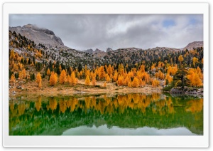 Mountain Green Lake, Orange Trees Reflection Ultra HD Wallpaper for 4K UHD Widescreen desktop, tablet & smartphone