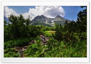 Mountain HDR Ultra HD Wallpaper for 4K UHD Widescreen desktop, tablet & smartphone