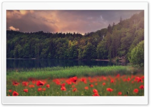 Mountain Lake Forest Landscape Ultra HD Wallpaper for 4K UHD Widescreen desktop, tablet & smartphone