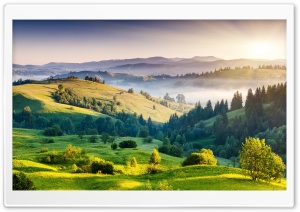 Mountain Landscape, Green Grass, Trees, Mist, Sun Ultra HD Wallpaper for 4K UHD Widescreen desktop, tablet & smartphone