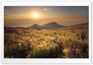 Mountain Top Meadow Ultra HD Wallpaper for 4K UHD Widescreen desktop, tablet & smartphone