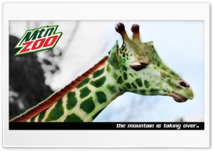 Mountain Zoo Ultra HD Wallpaper for 4K UHD Widescreen desktop, tablet & smartphone