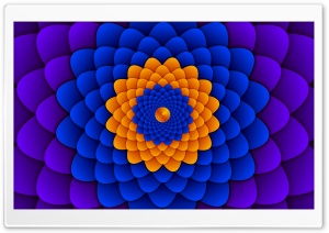 Multi-coloured Flowers Ultra HD Wallpaper for 4K UHD Widescreen desktop, tablet & smartphone