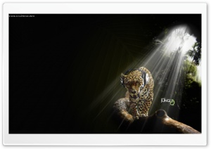 Music Ultra HD Wallpaper for 4K UHD Widescreen desktop, tablet & smartphone