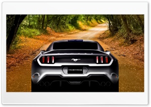 Mustang Fun Ultra HD Wallpaper for 4K UHD Widescreen desktop, tablet & smartphone