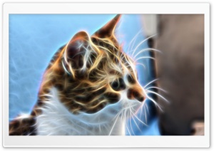 My Cat Ultra HD Wallpaper for 4K UHD Widescreen desktop, tablet & smartphone