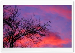 My Sunset Ultra HD Wallpaper for 4K UHD Widescreen desktop, tablet & smartphone