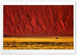 Namibian Landscape Photography Ultra HD Wallpaper for 4K UHD Widescreen desktop, tablet & smartphone