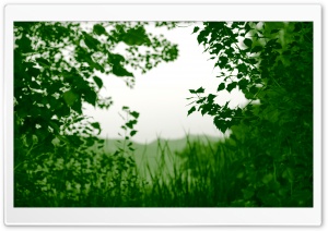 Natural Frame Ultra HD Wallpaper for 4K UHD Widescreen desktop, tablet & smartphone