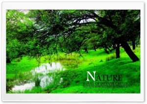 nature Ultra HD Wallpaper for 4K UHD Widescreen desktop, tablet & smartphone
