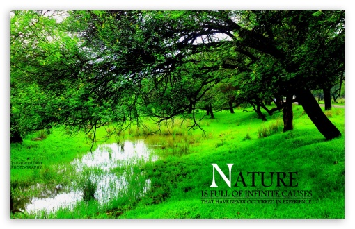 nature UltraHD Wallpaper for Wide 16:10 Widescreen WHXGA WQXGA WUXGA WXGA ;