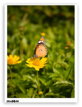Nature UltraHD Wallpaper for iPad 1/2/Mini ; Mobile 4:3 - UXGA XGA SVGA ;