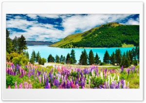 Nature - Priroda Ultra HD Wallpaper for 4K UHD Widescreen desktop, tablet & smartphone