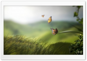 Nature by Artem Basok Ultra HD Wallpaper for 4K UHD Widescreen desktop, tablet & smartphone