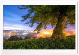 Nature In City Ultra HD Wallpaper for 4K UHD Widescreen desktop, tablet & smartphone