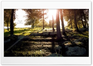 nature is beautiful Ultra HD Wallpaper for 4K UHD Widescreen desktop, tablet & smartphone