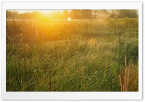 Nature Landscape 17 Ultra HD Wallpaper for 4K UHD Widescreen desktop, tablet & smartphone