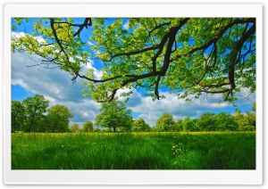 Nature Landscape Ultra HD Wallpaper for 4K UHD Widescreen desktop, tablet & smartphone