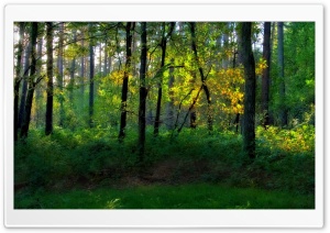 Nature Landscape 41 Ultra HD Wallpaper for 4K UHD Widescreen desktop, tablet & smartphone