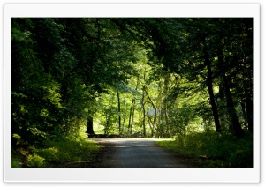 Nature Landscape 50 Ultra HD Wallpaper for 4K UHD Widescreen desktop, tablet & smartphone