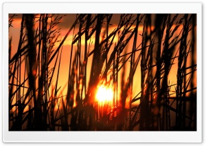 Nature Landscape Sun And Sky 123 Ultra HD Wallpaper for 4K UHD Widescreen desktop, tablet & smartphone