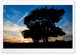 Nature Landscape Sun And Sky 127 Ultra HD Wallpaper for 4K UHD Widescreen desktop, tablet & smartphone