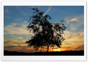 Nature Landscape Sun And Sky 128 Ultra HD Wallpaper for 4K UHD Widescreen desktop, tablet & smartphone