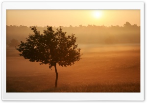 Nature Landscape Sun And Sky 133 Ultra HD Wallpaper for 4K UHD Widescreen desktop, tablet & smartphone