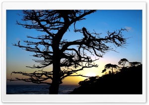 Nature Landscape Sun And Sky 21 Ultra HD Wallpaper for 4K UHD Widescreen desktop, tablet & smartphone