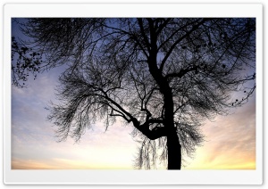 Nature Landscape Sun And Sky 89 Ultra HD Wallpaper for 4K UHD Widescreen desktop, tablet & smartphone